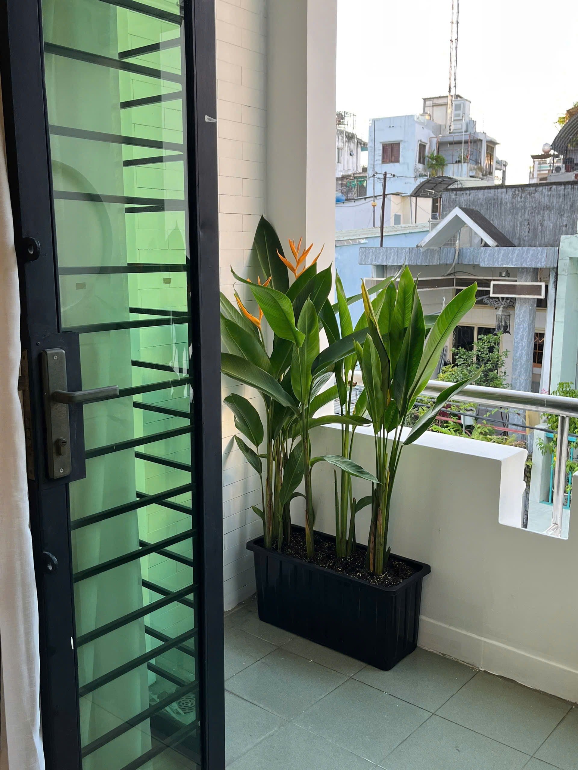 Phòng 102 - Ảnh 5